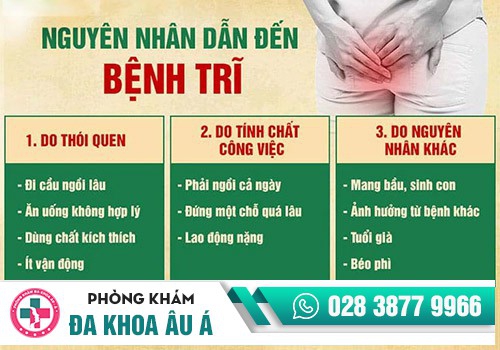 Nguyên nhân gây ra bệnh trĩ là gì?