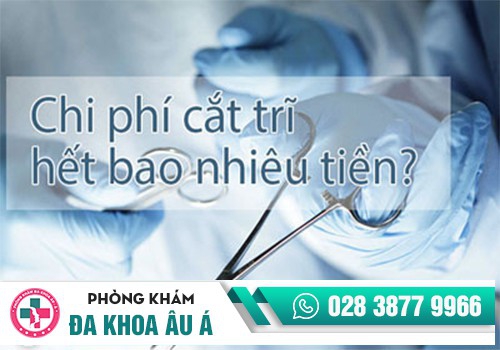 chi phí điều trị bệnh trĩ