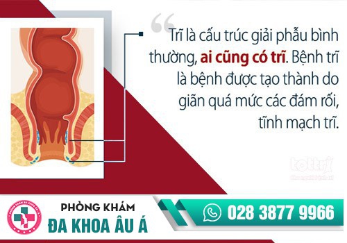 Đi vệ sinh đau rát hậu môn do đâu?